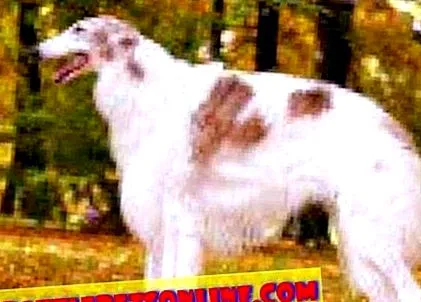 asupra sănătății
