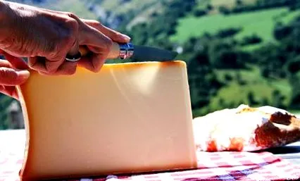 fehérjetartalmú