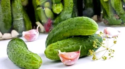 кисела