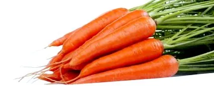 egészséges