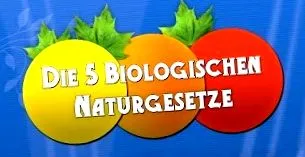 egészséges táplálkozás