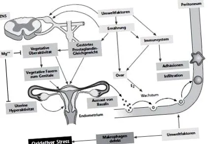 endometriózis