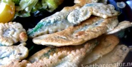 táplálkozási táplálkozási