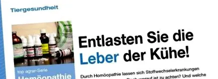 tehenek