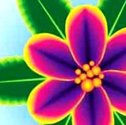 floare