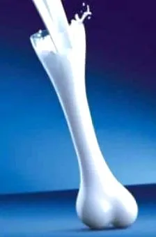 diéta