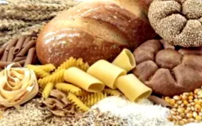 nutriție