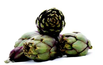 zsíros