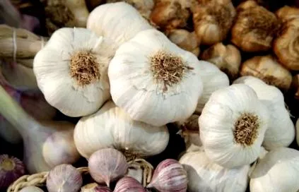 luptă