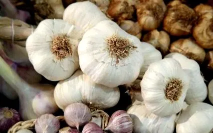 luptă