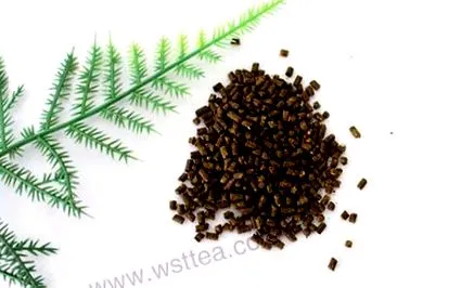 fitne infusion
