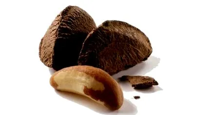 folikuly