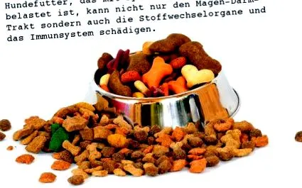 emésztőrendszer