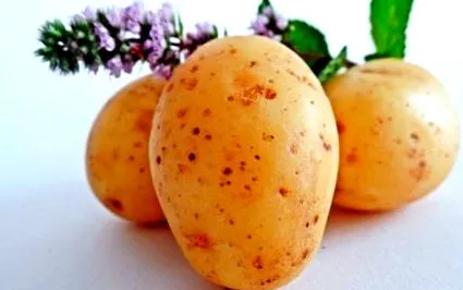 зеленчук