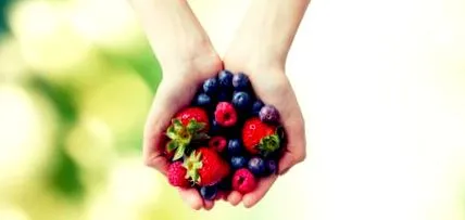 alimentație