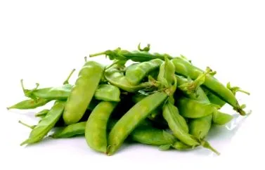 dieta