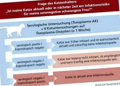 receptekről emberi