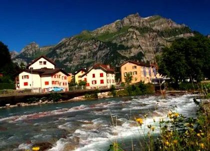 vizek