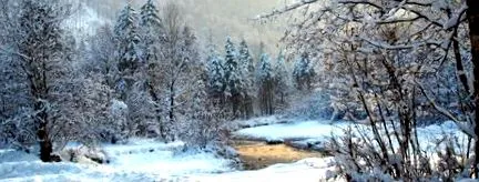 szójegyzék
