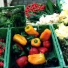 dietă
