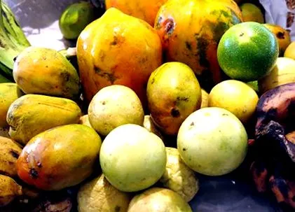 ayurvedice