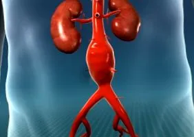 capital cardiology