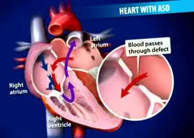 cardiology cardiology