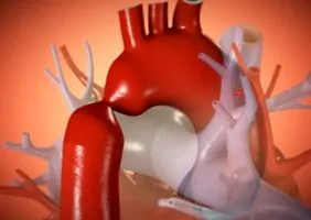 capital cardiology