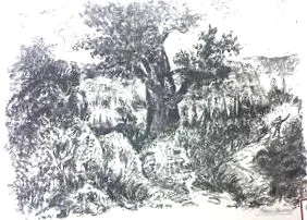 descărcați