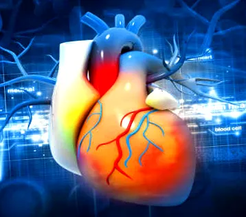 cardiology capital