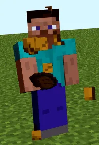 wiki