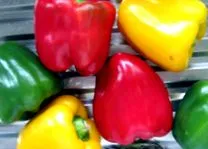 alimentația