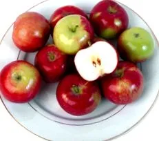 alimentația