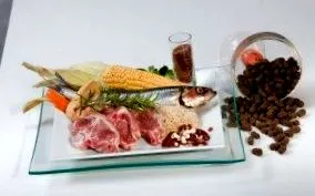 alimentele pancreatita