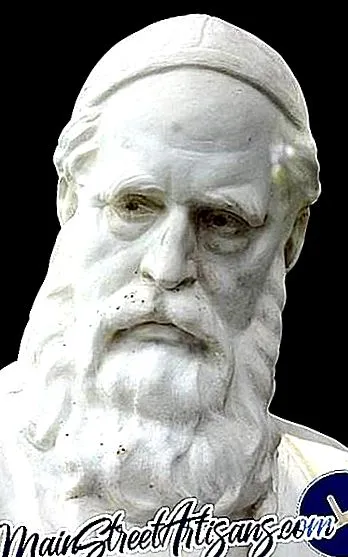 hayam könyvek