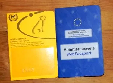 pentru