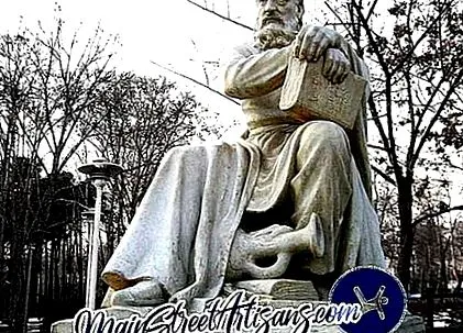 hayam könyvek