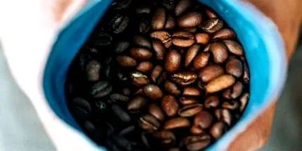 putea