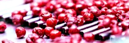 nutritionnutrition