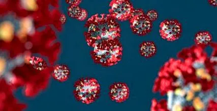 immunrendszer