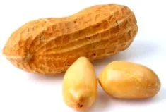 földimogyoró táplálkozási