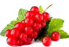 calorii