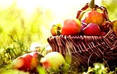 nutritive