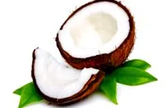 cocos este