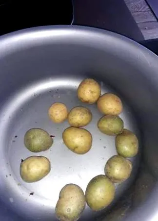 овие