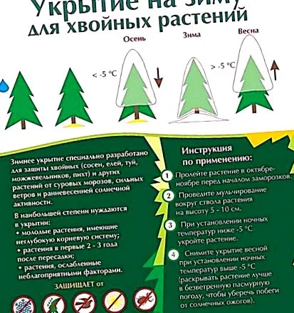 junунипер