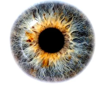 glaucomul oprește