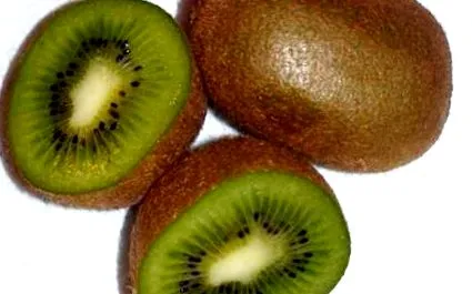 kiwi