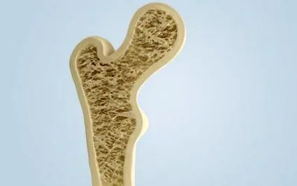 fizikai orvoslás