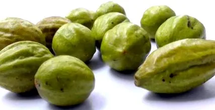 cocos